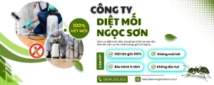 diệt mối Ngọc Sơn HCM -Đon vị diệt mối uy tín số 1 tại quận 1