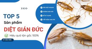 White Blue Modern Pest Control Services Banner 1