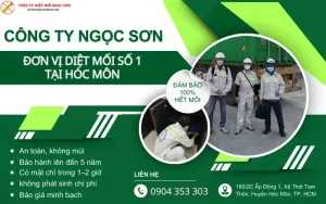 Công ty Ngọc Sơn - Diệt mối tại Hóc Môn uy tín số 1