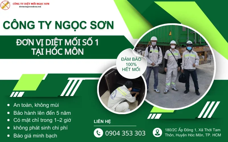 Công ty Ngọc Sơn - Diệt mối tại Hóc Môn uy tín số 1