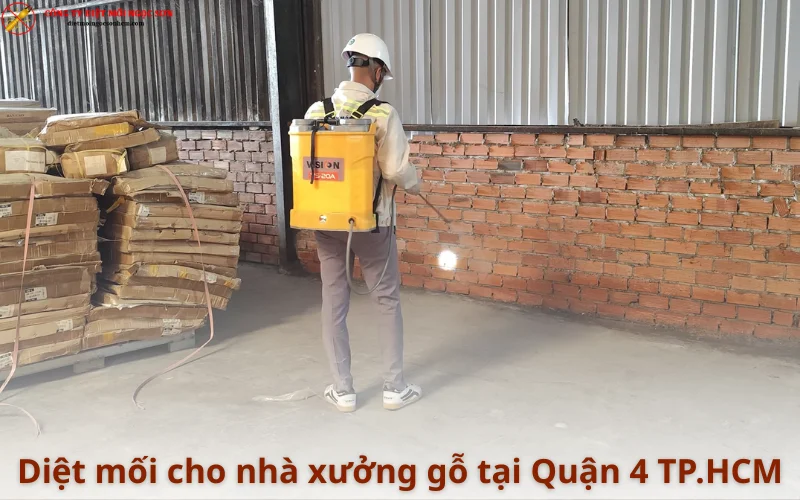 Dịch vụ diệt mối cho xưởng gỗ tại Quận 4