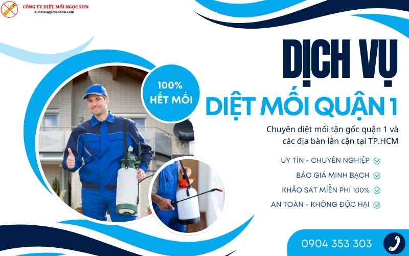 Dịch vụ diệt mối quận 1 - TP.HCM uy tín, giá rẻ