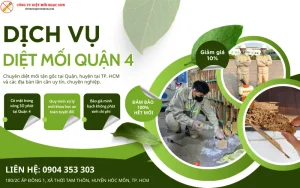 Dịch vụ diệt mối Quận 4 Tp. HCM