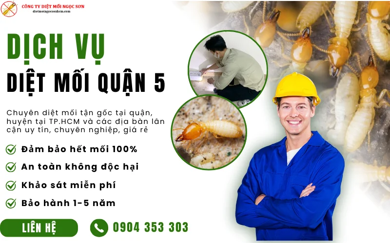 Dịch vụ diệt mối quận 5 TP.HCM