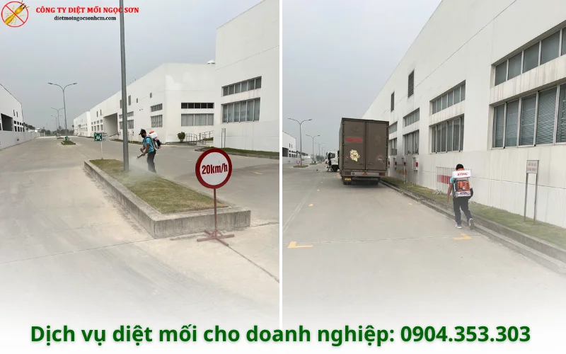 Dịch vụ diệt mối cho doanh nghiệp tại Xuân Thới Sơn
