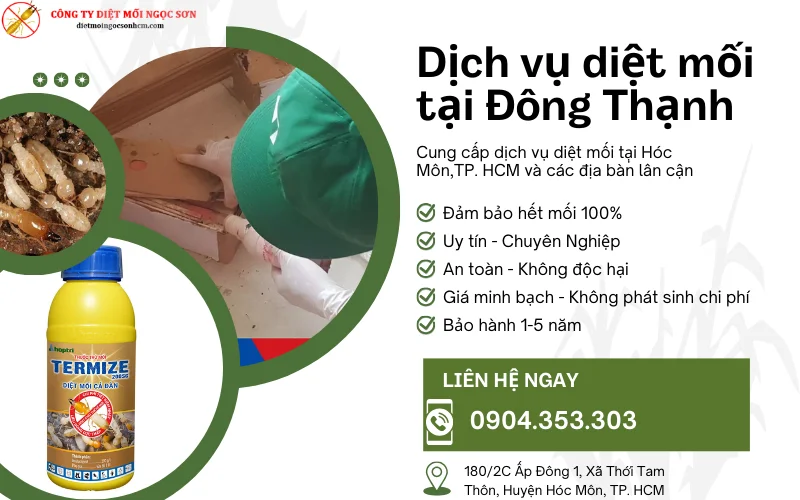 Dịch vụ diệt mối tại Đông Thạnh - Hóc Môn