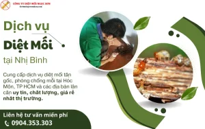 DỊch vụ diệt mối tại Nhị Bình tận gốc uy tín, chuyên nghiệp