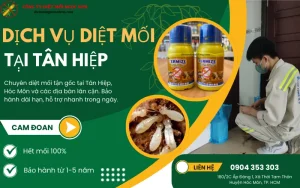 Dịch vụ diệt mối tại Tân Hiệp - Hóc Môn