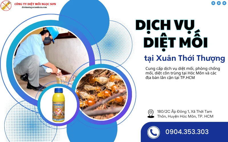 Dịch dụ diệt mối tại Xuân Thới Thượng - Hóc Môn