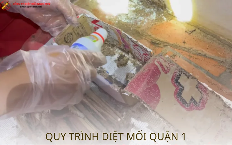 Quy trình diệt mối quận 1 TP.HCM chuyên nghiệp
