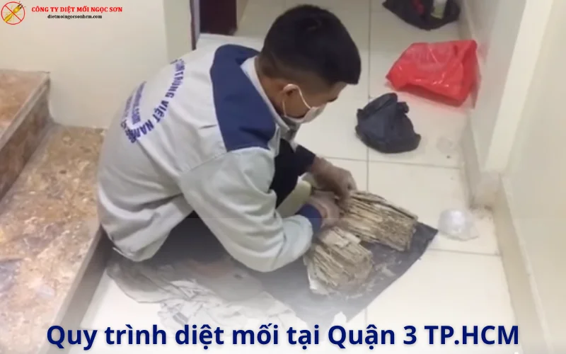 Quy trình diệt mối tại Quận 3 TP.HCM