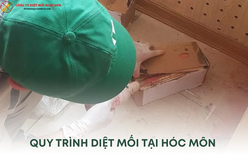 Quy trình diệt mối tại huyện Hóc Môn TP HCM