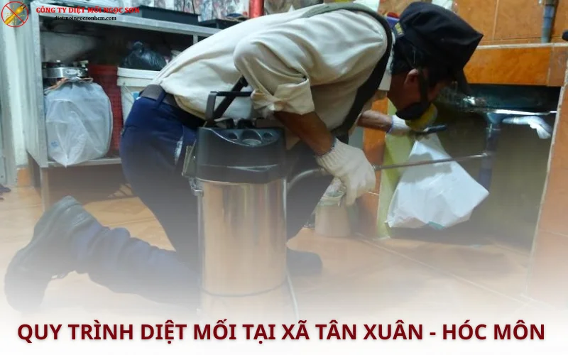Quy trình diệt mối chuyên nghiệp tại xã Tân Xuân