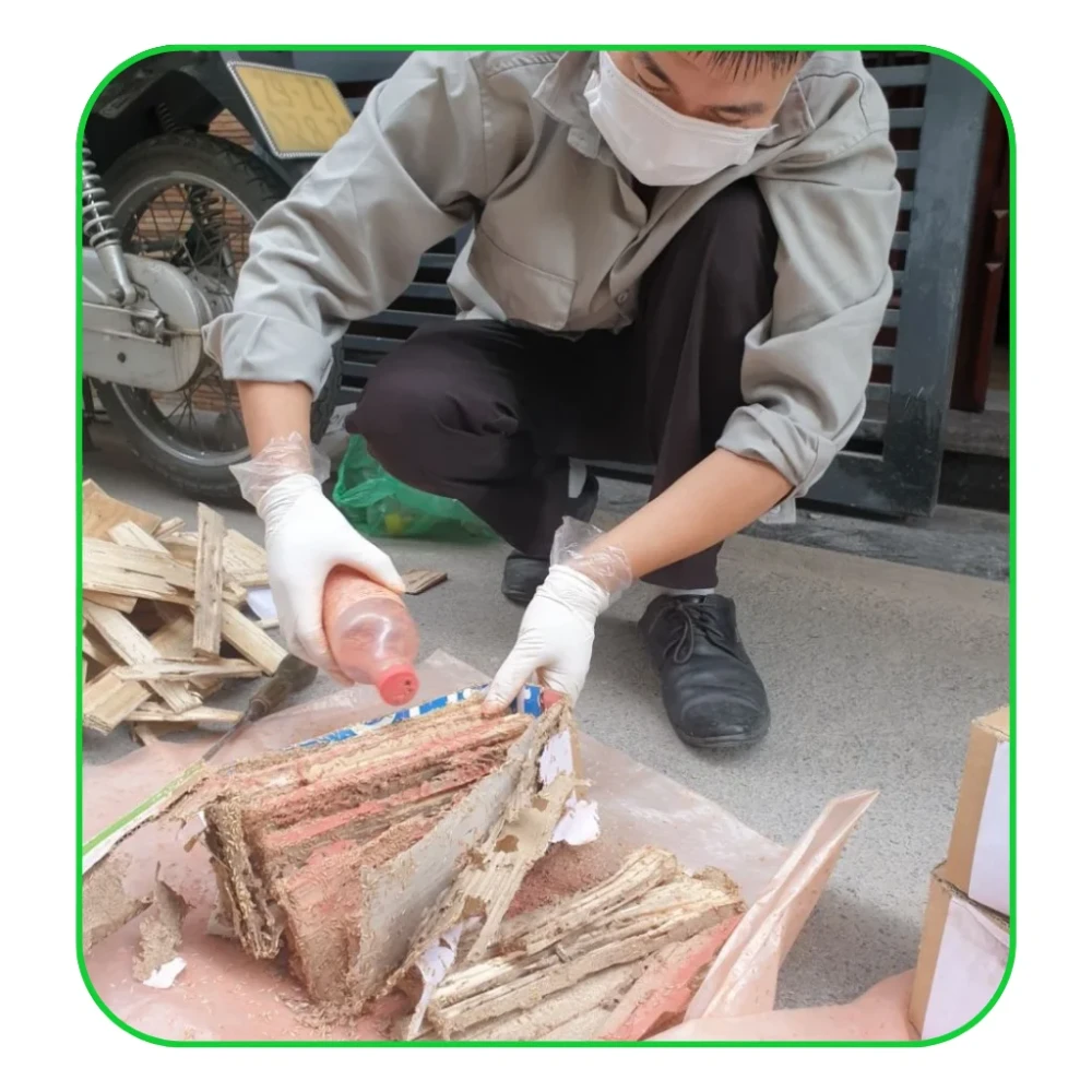 bơm thuốc diệt mối sinh học