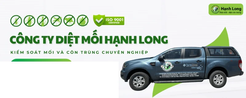 Công ty diệt mối hạnh long