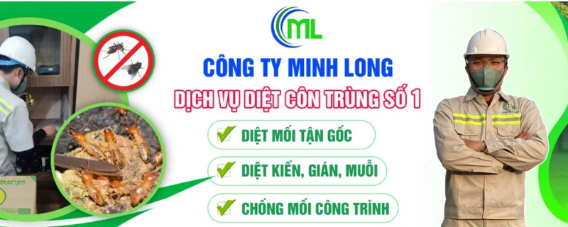 Công ty diệt mối Minh Long