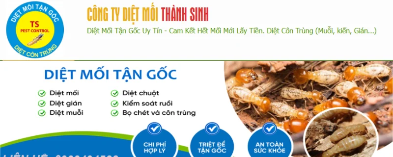 công ty diệt mối Thành Sinh