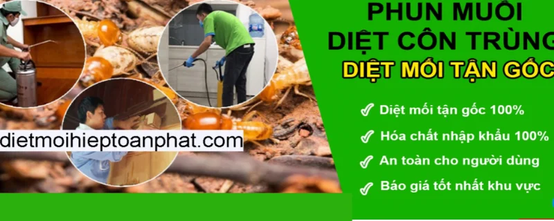 công ty diệt mối Toàn Phát