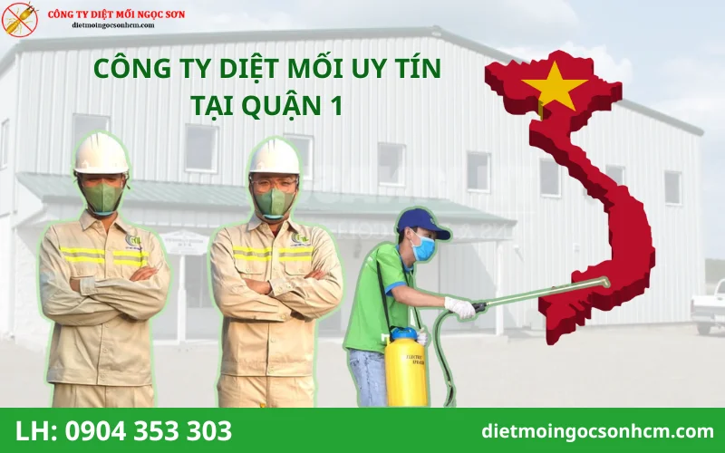 Top Công ty diệt mối tại quận 1 uy tín nhất hiện nay
