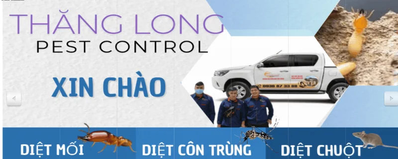 Công ty diệt mối Việt Nam Thăng Long