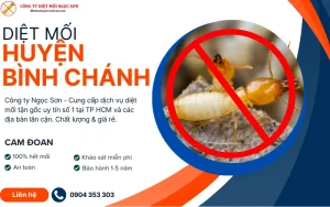 DỊch vụ diệt mối huyện Bình Chánh uy tín