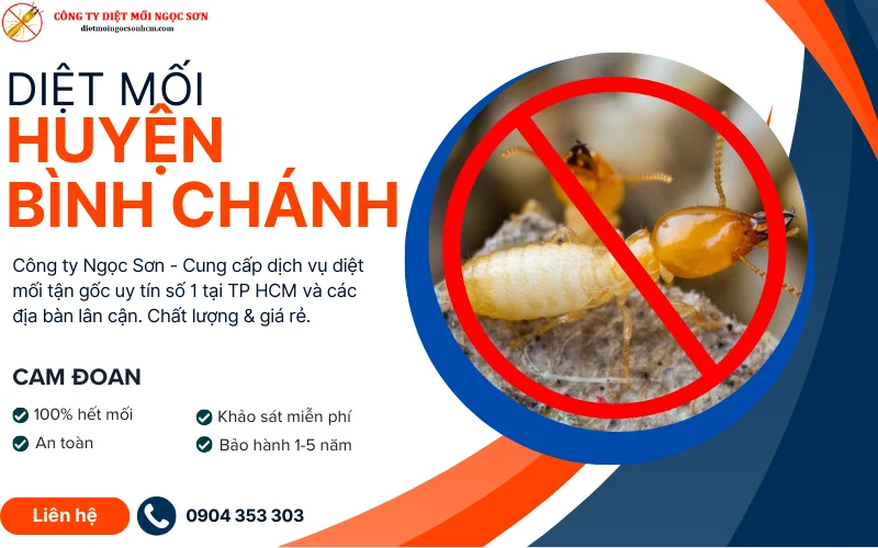 DỊch vụ diệt mối huyện Bình Chánh uy tín 