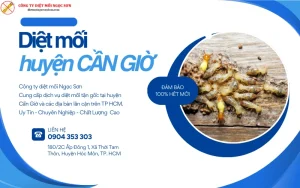Dịch vụ diệt mối huyện Cần Giờ