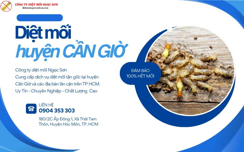 Dịch vụ diệt mối huyện Cần Giờ
