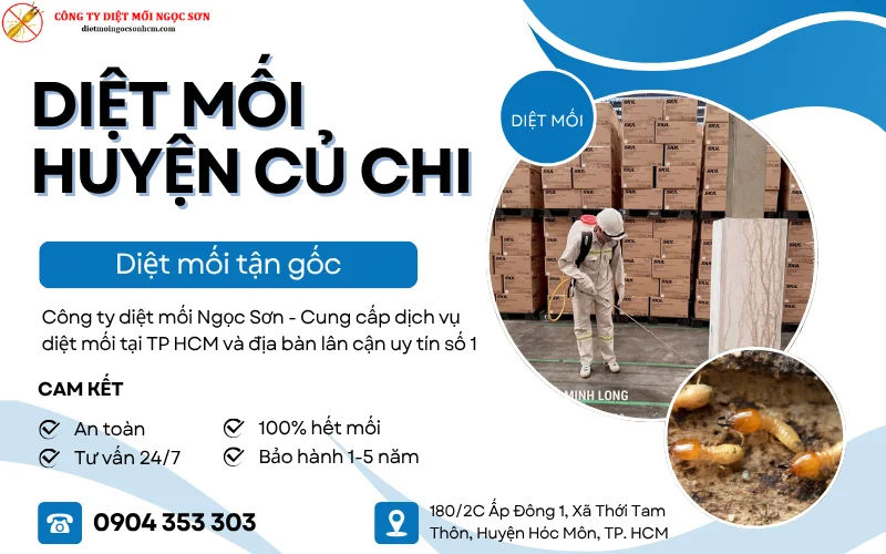 Dịch vụ diệt mối huyện Củ Chi