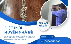 Dịch vụ diệt mối huyện Nhà Bè