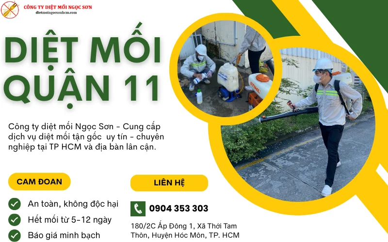 dịch vụ diệt mối Quận 11 tận gốc