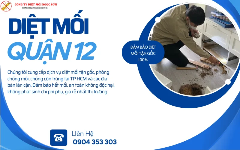 Dịch vụ diệt mối Quận 12 TP HCM