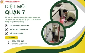 Dịch vụ diệt mối quận 7 TP HCM