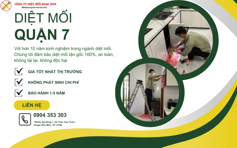 Dịch vụ diệt mối quận 7 TP HCM