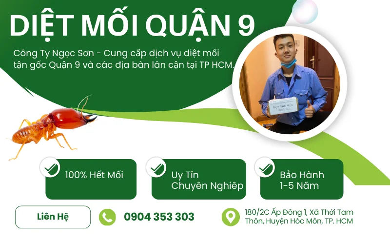 Dịch vụ diệt mối quận 9 uy tín số 1