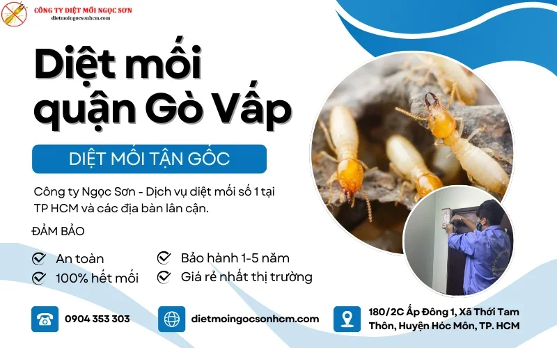 Dịch vụ diệt mối quận Gò Vấp uy tín số 1