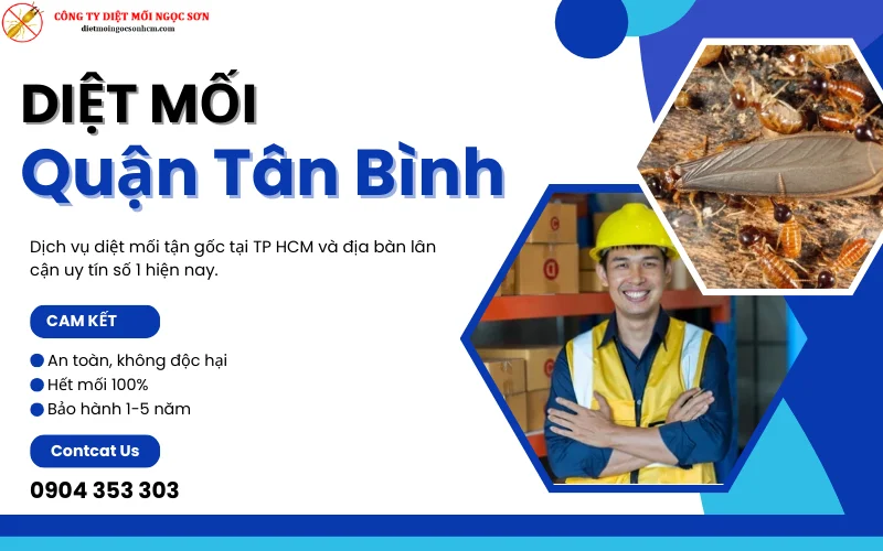 Dịch vụ diệt mối Quận Tân Bình uy tín