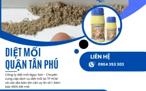Dịch vụ diệt mối quận Tân Phú uy tín số 1 hiện nay