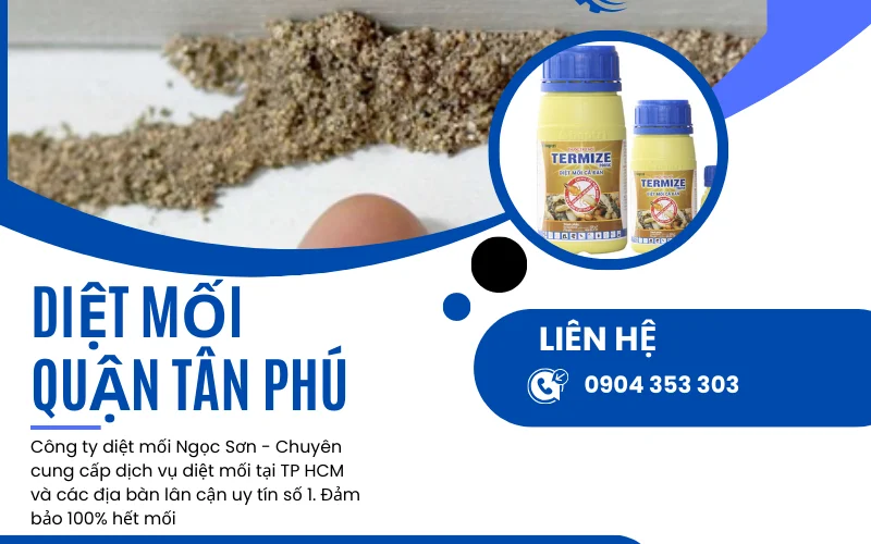 Dịch vụ diệt mối quận Tân Phú uy tín số 1 hiện nay