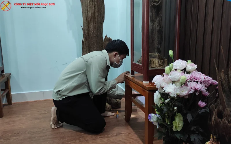 diệt mối cho nhà ở quận Gò Vấp 