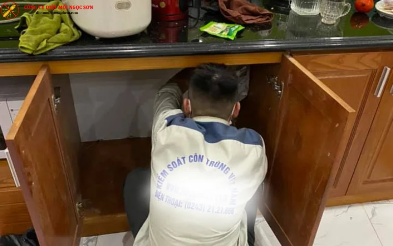 Diệt mối cho kệ bếp tại huyện Bình Chánh