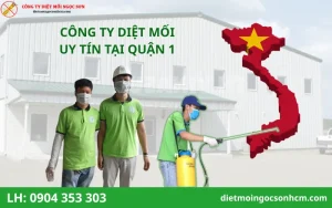 Top Công ty diệt mối tại quận 1 uy tín nhất hiện nay