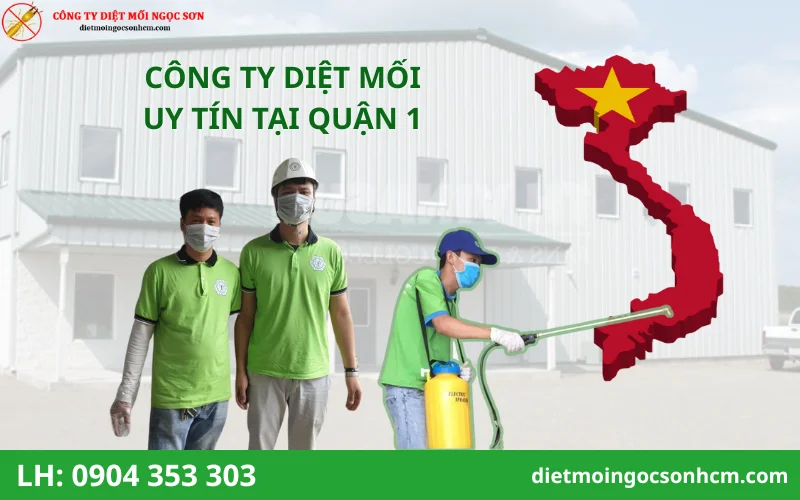 Top Công ty diệt mối tại quận 1 uy tín nhất hiện nay