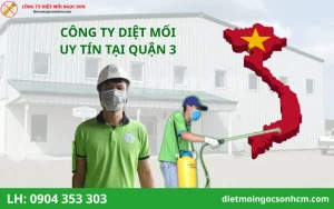 Top Công ty diệt mối tại quận 3 uy tín nhất hiện nay