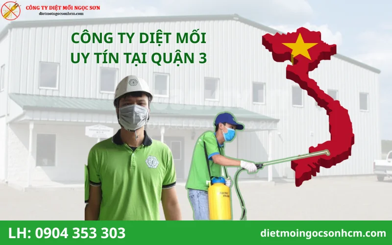 Top Công ty diệt mối tại quận 3 uy tín nhất hiện nay