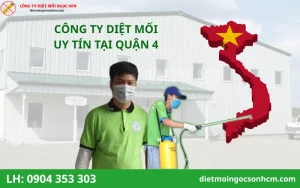 Top Công ty diệt mối tại quận 4 uy tín nhất hiện nay