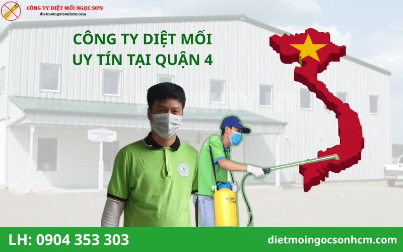 Top Công ty diệt mối tại quận 4 uy tín nhất hiện nay