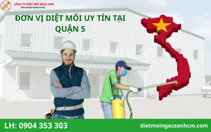 Đơn vị diệt mối tại Quận 5 uy tín