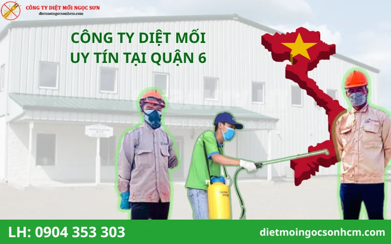 Đơn vị diệt mối tại Quận 6 uy tín nhất hiện nay