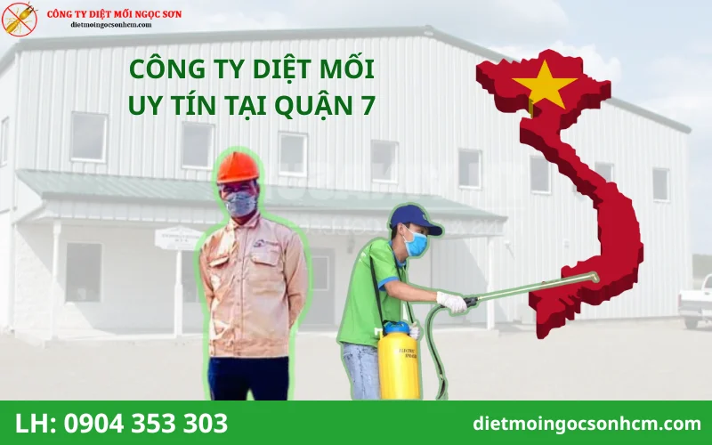 Công ty diệt mối tại Quận 7 uy tín hàng đầu